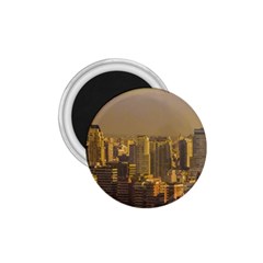 Buenos Aires City Aerial View002 1 75  Magnets by dflcprintsclothing