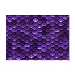 Purple Scales! Crystal Sticker (a4) by fructosebat