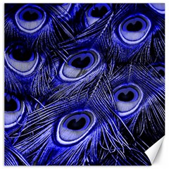 Purple Peacock Feather Canvas 20  X 20  by Jancukart