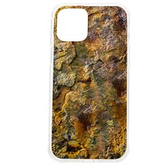 Rusty Orange Abstract Surface Iphone 12 Pro Max Tpu Uv Print Case by dflcprintsclothing