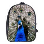 Peacock Bird Animal Feather Nature Colorful School Bag (XL) Front