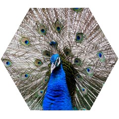 Peacock Bird Animal Feather Nature Colorful Wooden Puzzle Hexagon by Ravend