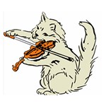 Cat Playing The Violin Art Two Sides Premium Plush Fleece Blanket (Small) 50 x40  Blanket Front