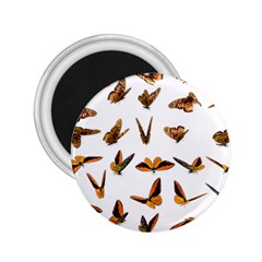 Butterfly Butterflies Insect Swarm 2 25  Magnets by Salman4z