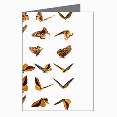 Butterfly Butterflies Insect Swarm Greeting Cards (pkg Of 8) by Salman4z