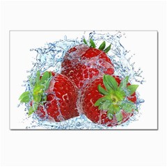 Red Strawberries Water Squirt Strawberry Fresh Splash Drops Postcard 4 x 6  (pkg Of 10) by B30l