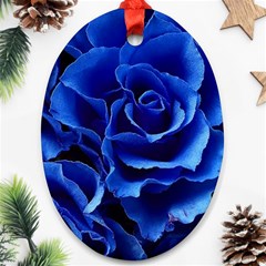 Blue Roses Flowers Plant Romance Blossom Bloom Nature Flora Petals Ornament (oval) by Cowasu