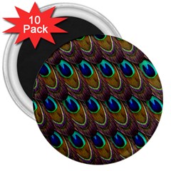 Peacock-feathers-bird-plumage 3  Magnets (10 Pack)  by Ravend