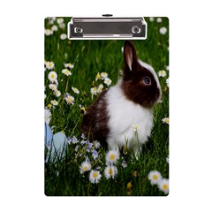 Rabbit A5 Acrylic Clipboard by artworkshop