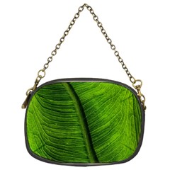 Green-leaf-plant-freshness-color Chain Purse (two Sides) by Bedest