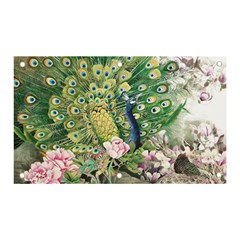 Peafowl Peacock Feather-beautiful Banner And Sign 5  X 3  by Cowasu