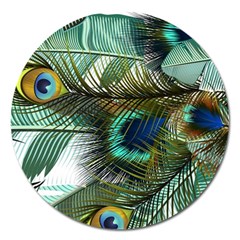 Peacock Feathers Magnet 5  (round) by Bedest