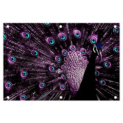 Purple Peacock Banner And Sign 6  X 4  by Bedest