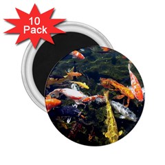 Koi Pond 3d Fish 2 25  Magnets (10 Pack)  by Grandong