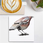 Whistle T- Shirtfinch T- Shirt UV Print Square Tile Coaster  Front