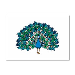 Peacock T-shirtwhite Look Calm Peacock 10 T-shirt Sticker A4 (10 Pack) by EnriqueJohnson