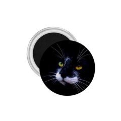 Face Black Cat 1 75  Magnets by Ket1n9