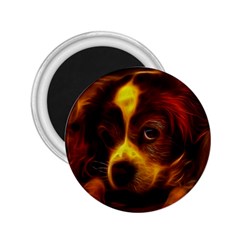 Cute 3d Dog 2 25  Magnets by Ket1n9