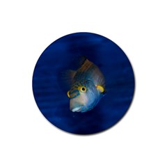 Fish Blue Animal Water Nature Rubber Coaster (round) by Amaryn4rt