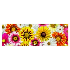 Flowers Blossom Bloom Nature Plant Banner And Sign 6  X 2  by Amaryn4rt