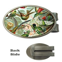 Humming Birds Trochilidae Money Clips (oval)  by Pakjumat