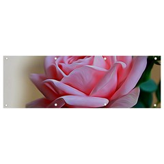 Rose Pink Flowers Pink Saturday Banner And Sign 9  X 3  by Amaryn4rt