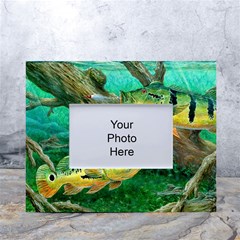 Peacock Bass Fishing White Tabletop Photo Frame 4 x6  by Sarkoni