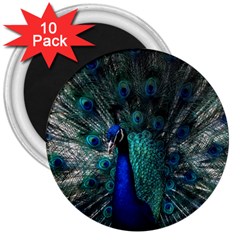 Blue And Green Peacock 3  Magnets (10 Pack)  by Sarkoni