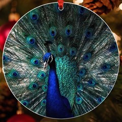 Blue And Green Peacock Uv Print Acrylic Ornament Round by Sarkoni