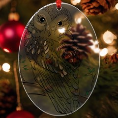 Owl Bird Wildlife Bird Of Prey Uv Print Acrylic Ornament Oval by Modalart