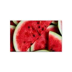 Watermelon Fruit Green Red Sticker Rectangular (100 Pack) by Bedest