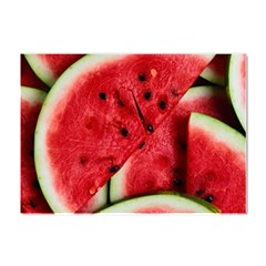 Watermelon Fruit Green Red Crystal Sticker (a4) by Bedest