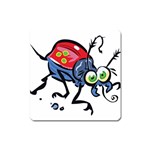 Bug Black Insect Animal Square Magnet Front