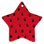 Seamless Watermelon Surface Texture Star Ornament (Two Sides) Front