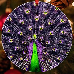 Peacock Bird Color Uv Print Acrylic Ornament Round by Cendanart