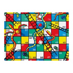 Snakes And Ladders Two Sides Premium Plush Fleece Blanket (mini) by Ket1n9