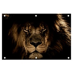 African Lion Mane Close Eyes Banner And Sign 6  X 4  by Ket1n9