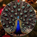 Peacock UV Print Acrylic Ornament Round Front