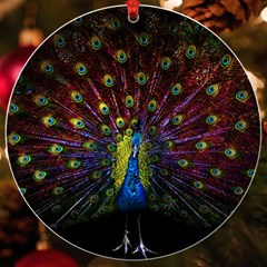 Beautiful Peacock Feather Uv Print Acrylic Ornament Round by Ket1n9