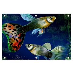 Marine Fishes Banner And Sign 6  X 4  by Ket1n9