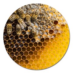 Honeycomb With Bees Magnet 5  (round) by Bedest