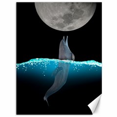 Dolphin Moon Water Canvas 36  X 48  by Ndabl3x