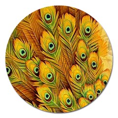 Peacock Feathers Green Yellow Magnet 5  (round) by Bedest