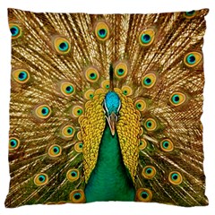 Peacock Feather Bird Peafowl Large Premium Plush Fleece Cushion Case (two Sides) by Cemarart