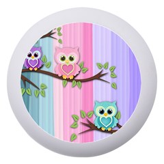 Owls Family Stripe Tree Dento Box With Mirror by Bedest