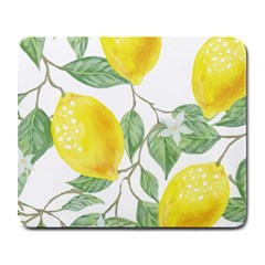 Fruit-2310212 Large Mousepad by lipli