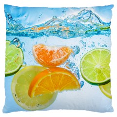 Fruits, Fruit, Lemon, Lime, Mandarin, Water, Orange Large Premium Plush Fleece Cushion Case (one Side) by nateshop