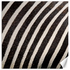 Zebra Zebra Pattern Zebra Fur Zebra Print Strip Canvas 20  X 20  by Azkajaya