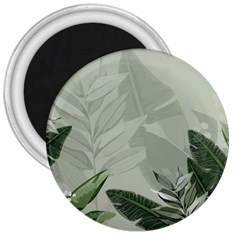 Banana Leaf Plant Pattern 3  Magnets by anzea