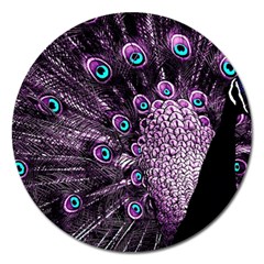 Purple Peacock Magnet 5  (round) by Bedest